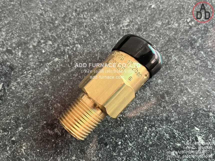 Rego 3129G Safety Relief Valve (8)